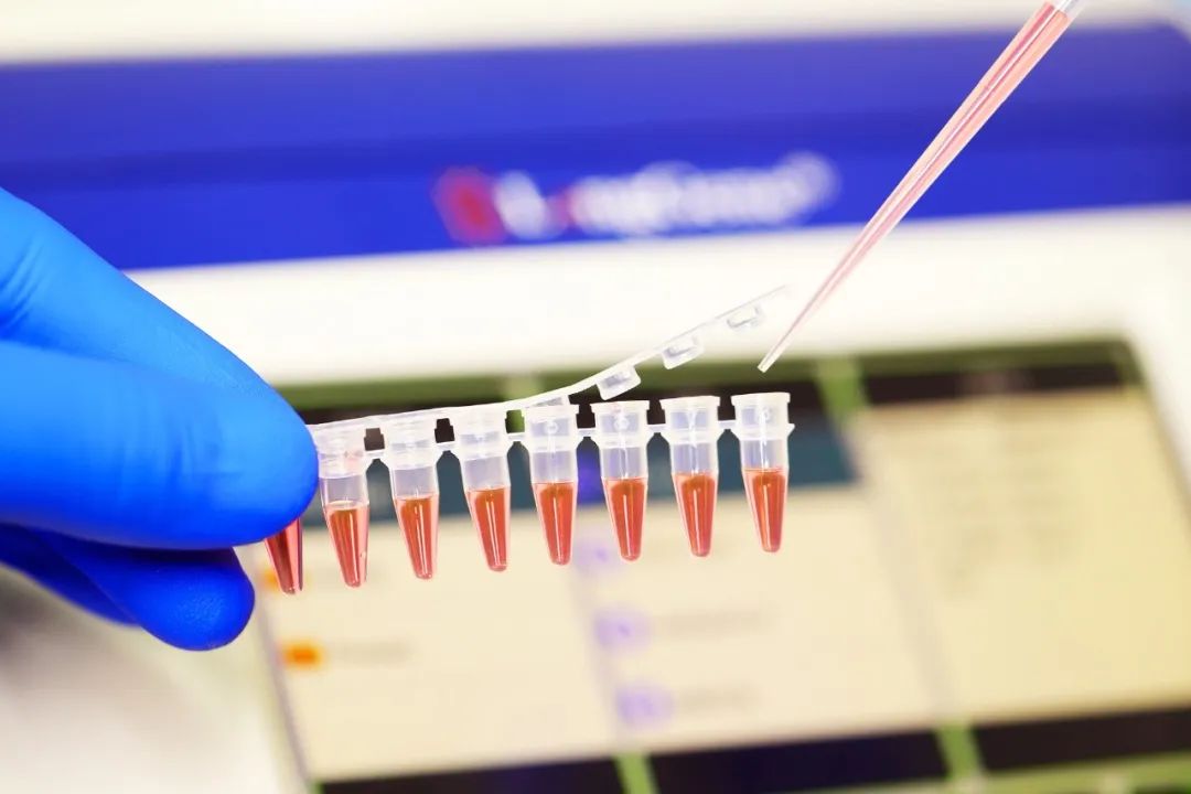 Conas earraí inchaite PCR/qPCR a roghnú?